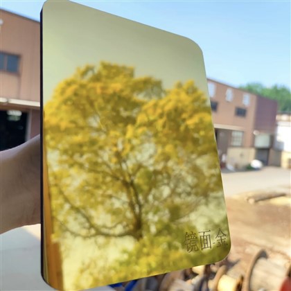 5mm 8mm paksusega bambusest süsi lemmiklooma peegel metallkile tahvel puitspoonist seinapaneel